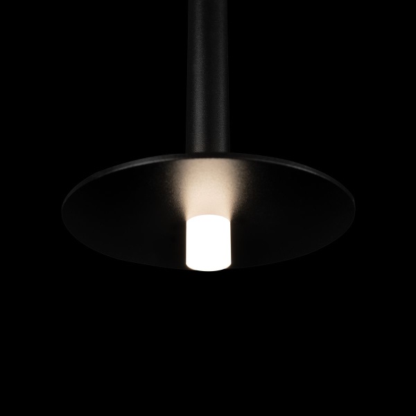 Подвесной светодиодный светильник Loft IT Reed 10358/830 Disk