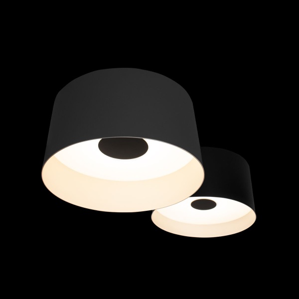 Потолочный светодиодный светильник Loft IT Duo 10360/2