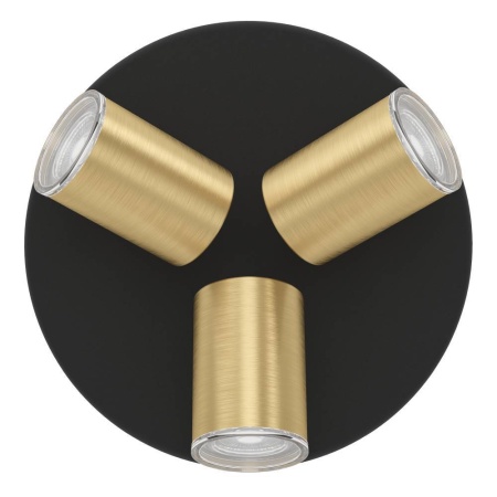 Спот Eglo Consuma 1 300586