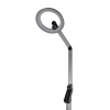 Торшер Lumion Ledio 8332/15FL