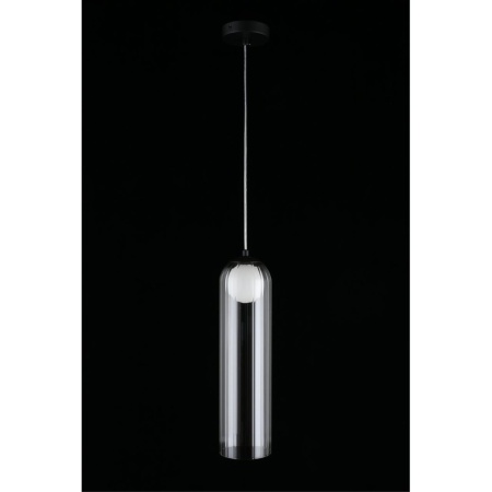 Подвесной светильник Aployt Arian APL.325.16.01