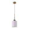 Подвесной светильник ST Luce Veritas SL1404.303.01