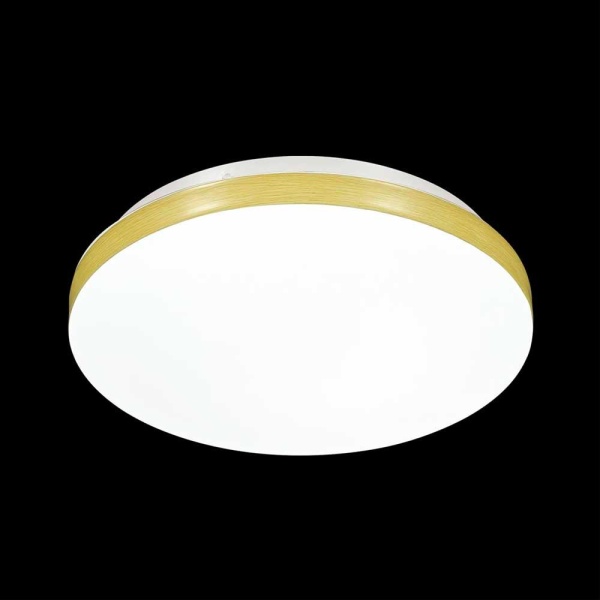 Настенно-потолочный светодиодный светильник Sonex Mini Smalli 3066/CL