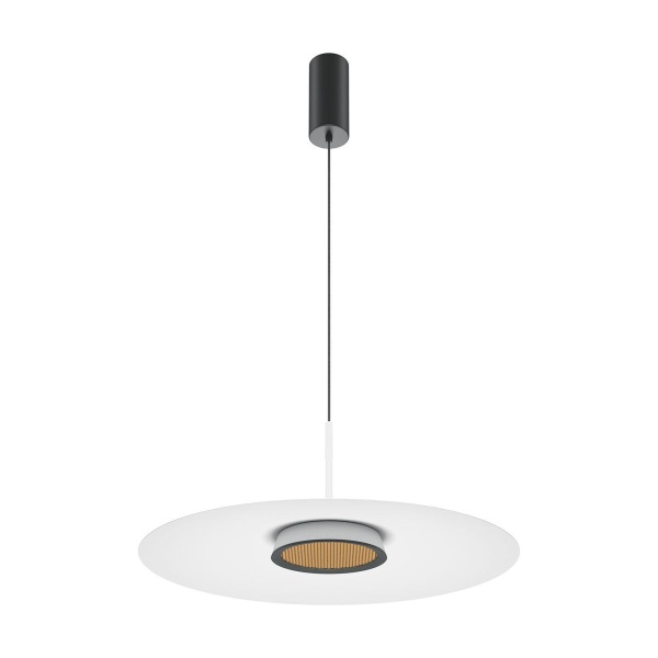 Подвесной светодиодный светильник Maytoni El MOD041PL-L15W3K1