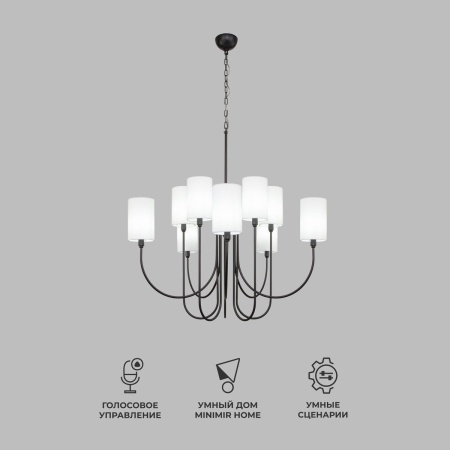 Подвесная люстра Eurosvet Abbey 60164/10 черный Smart