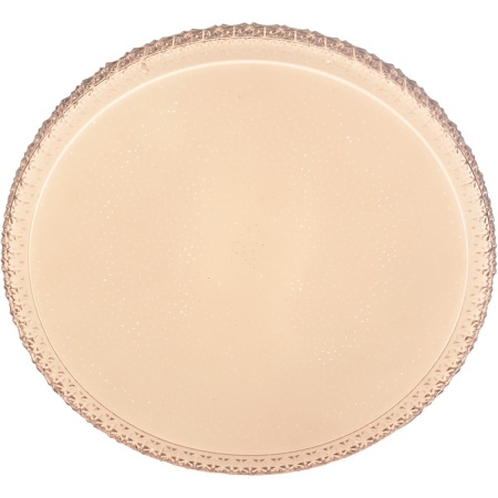 Потолочный светильник Reluce 01926-9.2-60W*2