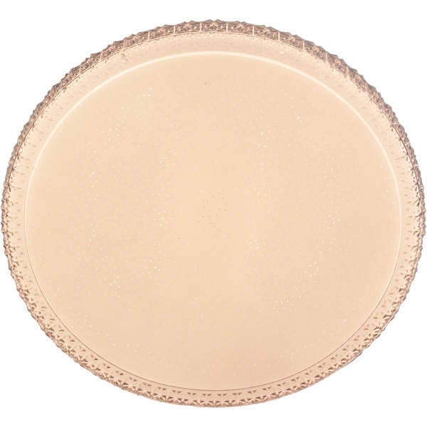 Потолочный светильник Reluce 01926-9.2-60W*2