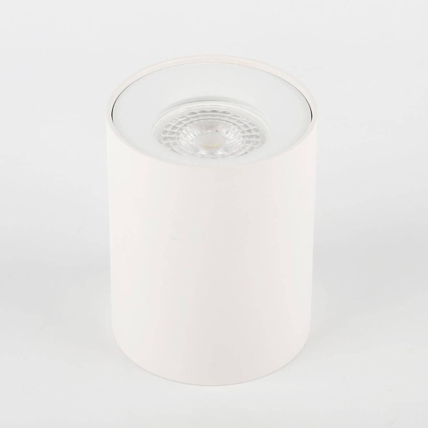 Потолочный светильник ЭРА OL1 GU10 WH Б0041503