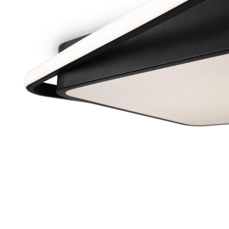 Потолочный светильник Freya FR10030CL-L88B